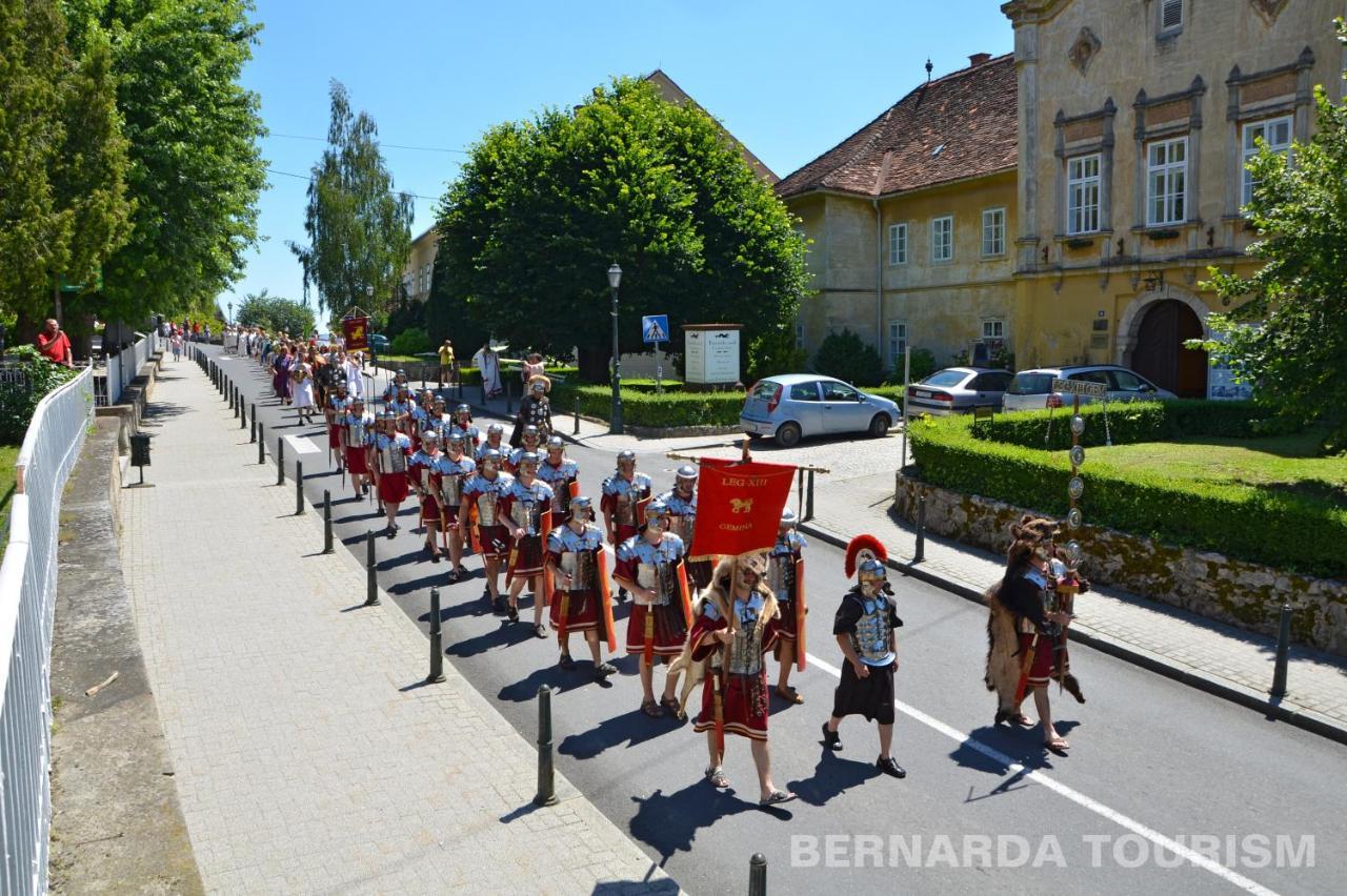 Отель Pansion Bernarda Nova Вараждинске-Топлице Экстерьер фото